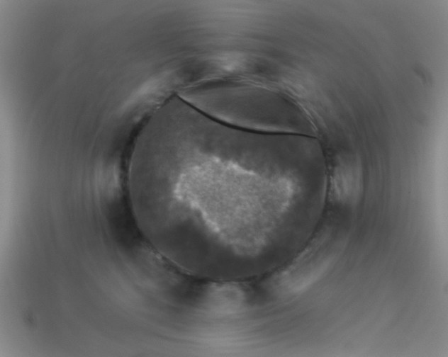 X0000113880520200910151316