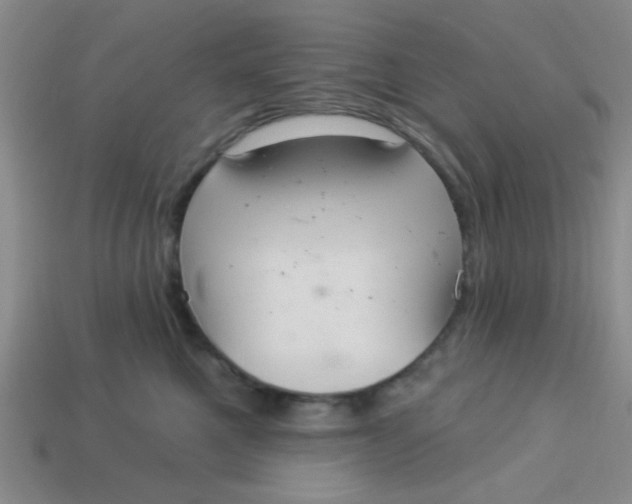 X0000113880521200910151316