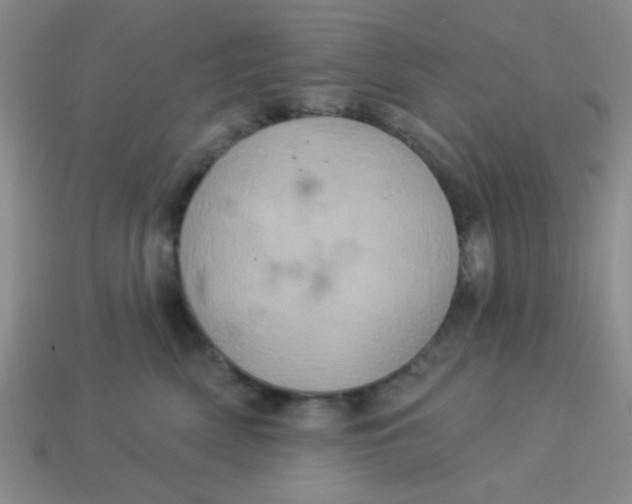 X0000113880522200910151316