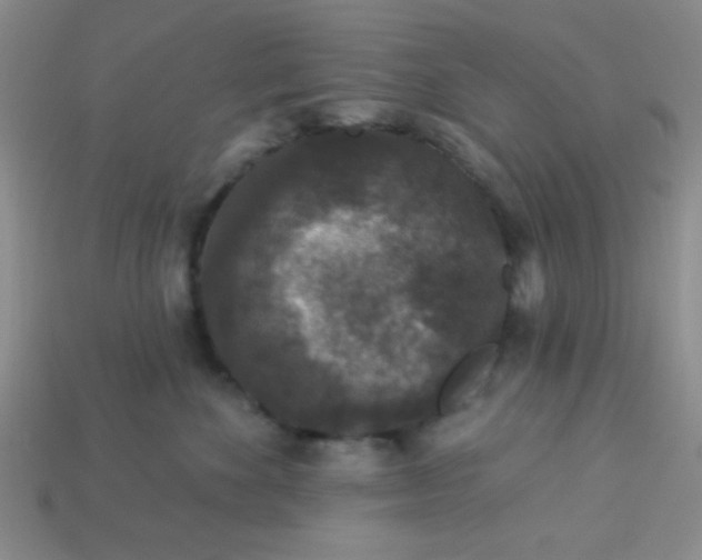 X0000113880524200910151316