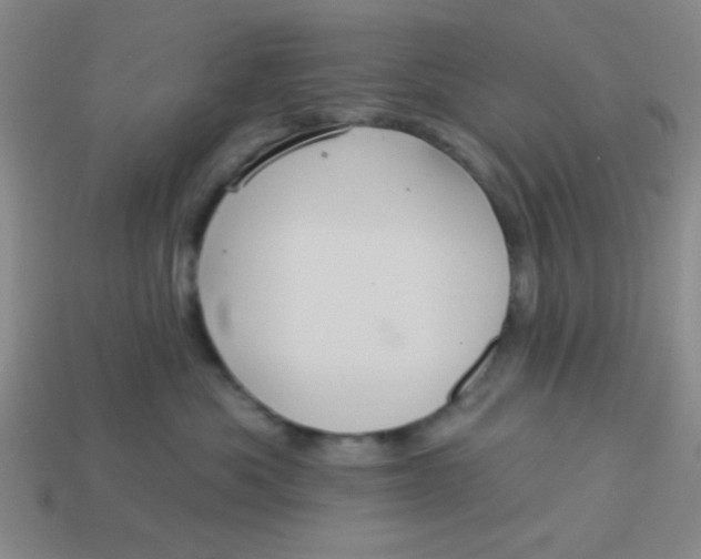 X0000113880525200910151316