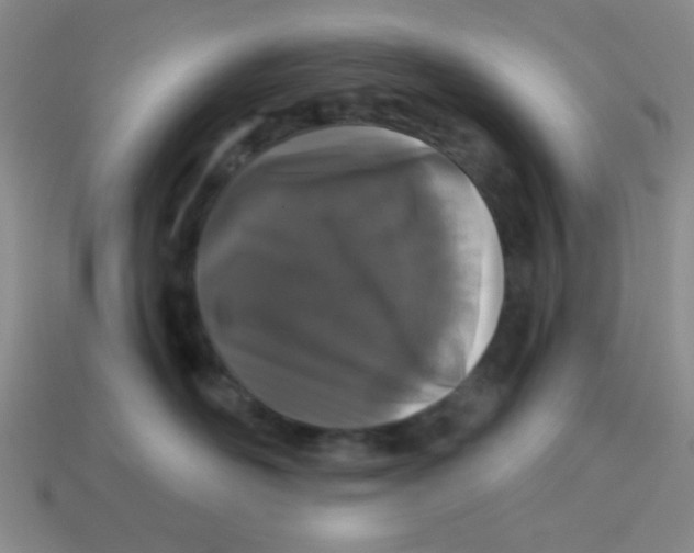 X0000113880526200910151316