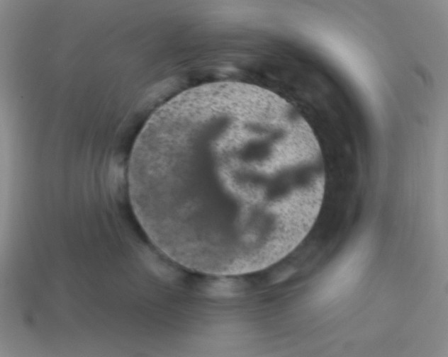 X0000113880527200910151316