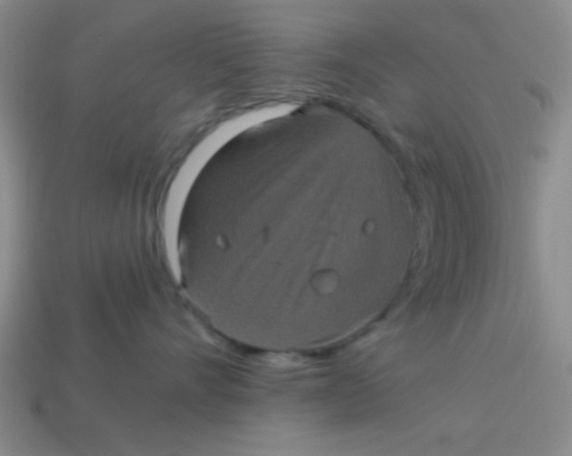 X0000113880528200910151316