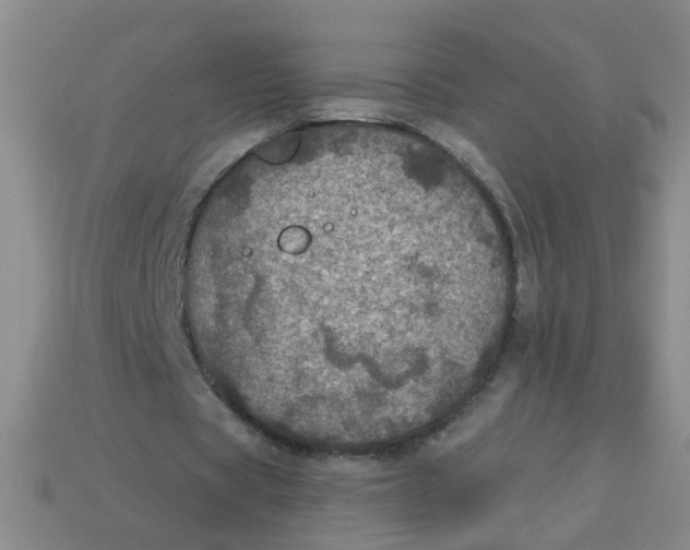 X0000113880529200910151315