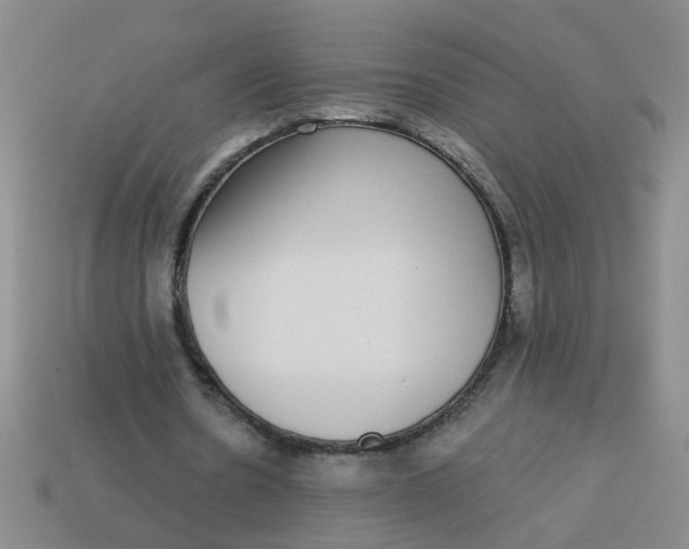 X0000113880530200910151315