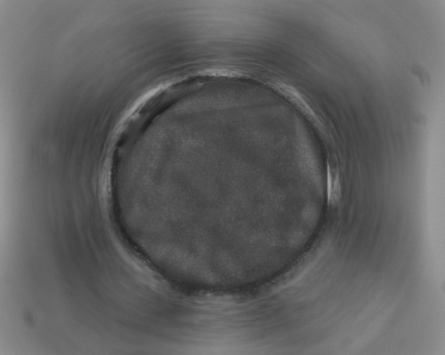 X0000113880531200910151315