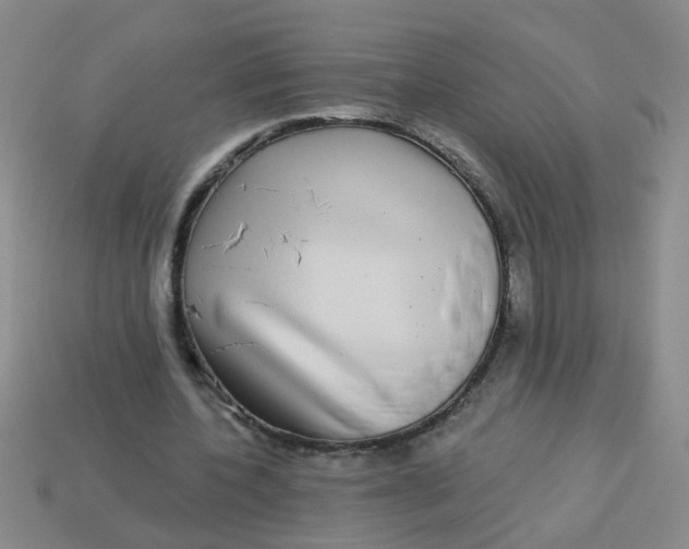 X0000113880532200910151315