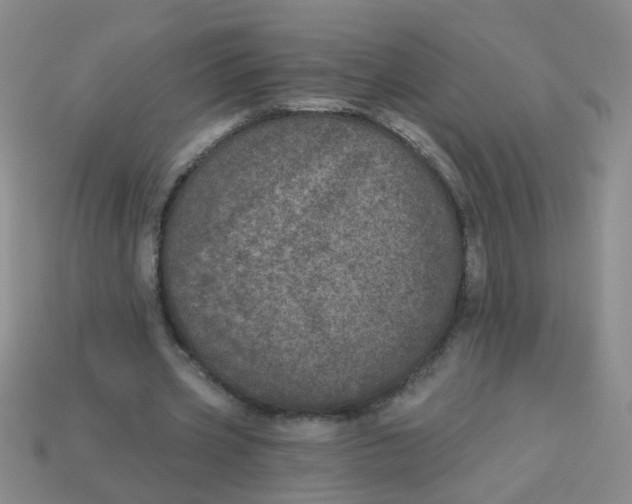 X0000113880533200910151315