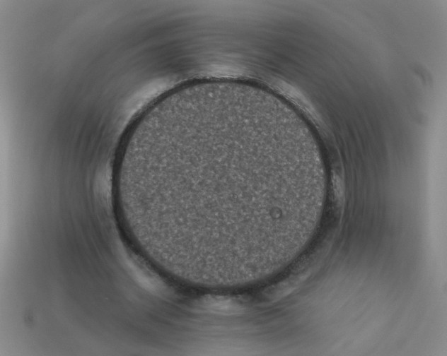 X0000113880534200910151315