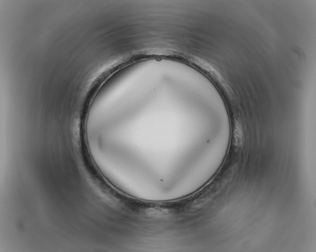 X0000113880535200910151315