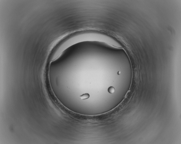 X0000113880536200910151315