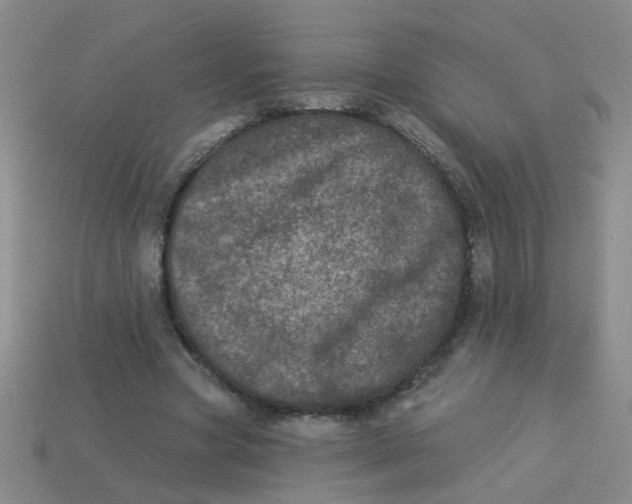 X0000113880537200910151315