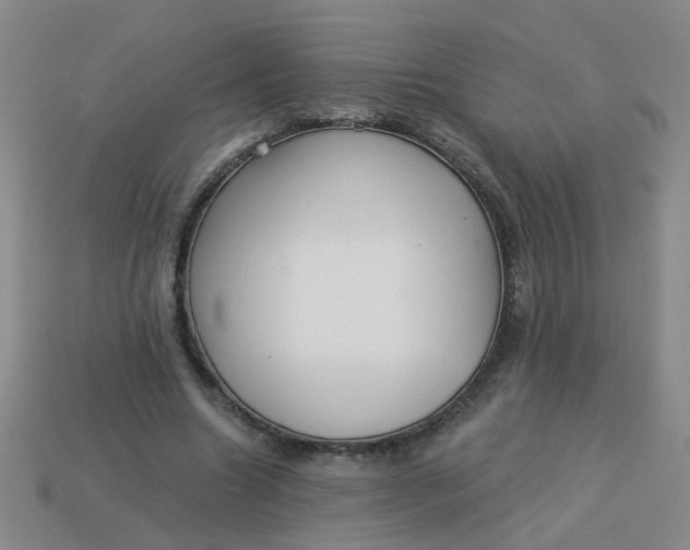 X0000113880538200910151315