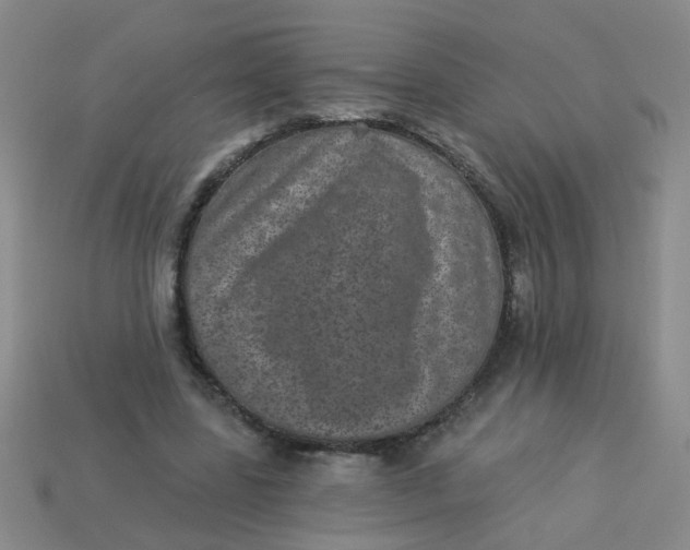 X0000113880539200910151315