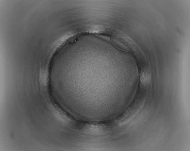 X0000113880540200910151315