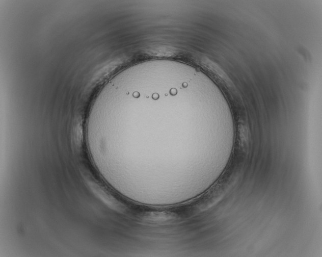 X0000113880541200910151315