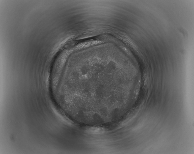 X0000113880542200910151315