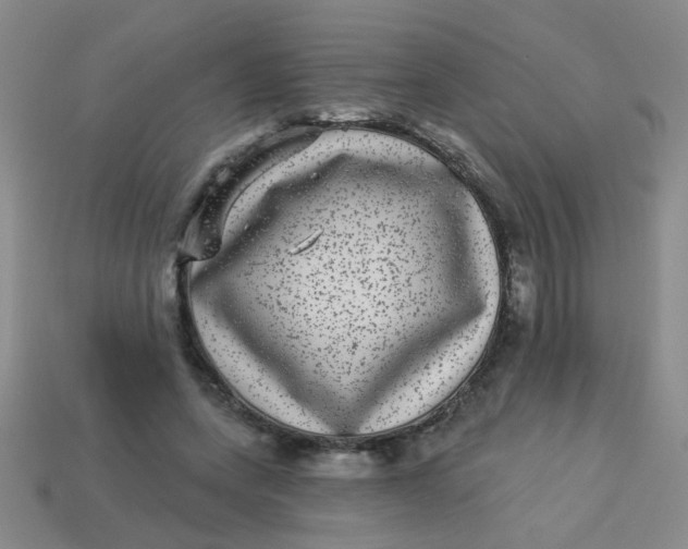 X0000113880543200910151315