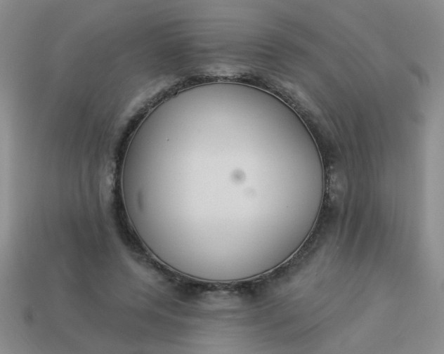 X0000113880544200910151315