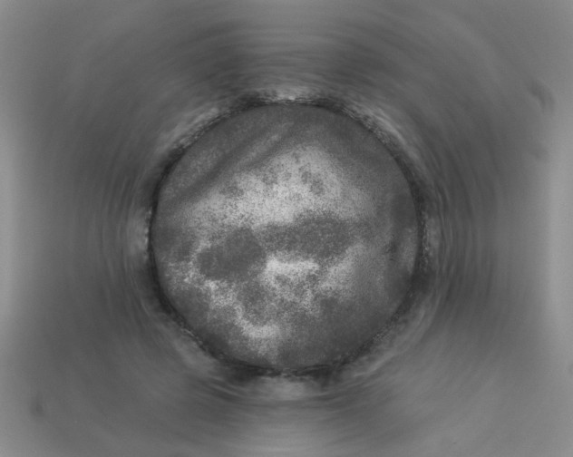 X0000113880545200910151315