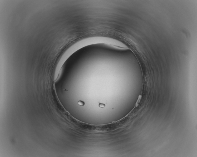 X0000113880546200910151315