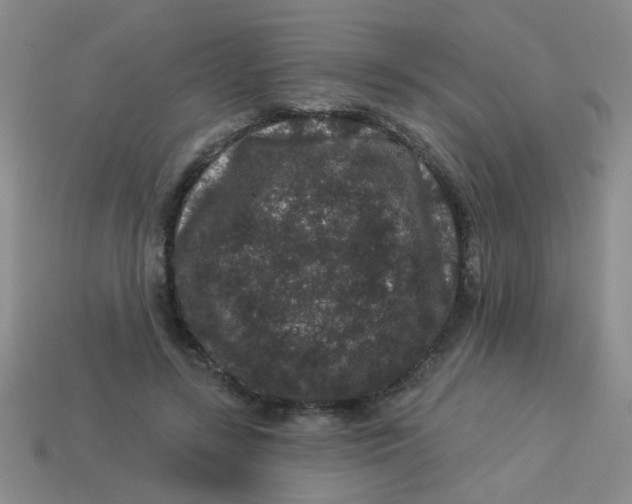 X0000113880547200910151315