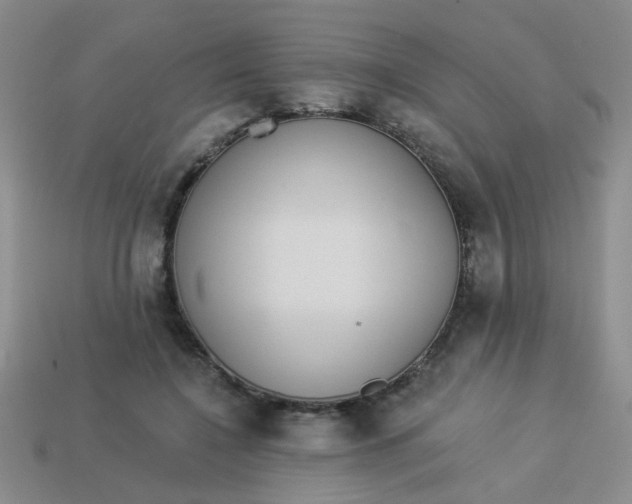 X0000113880548200910151315