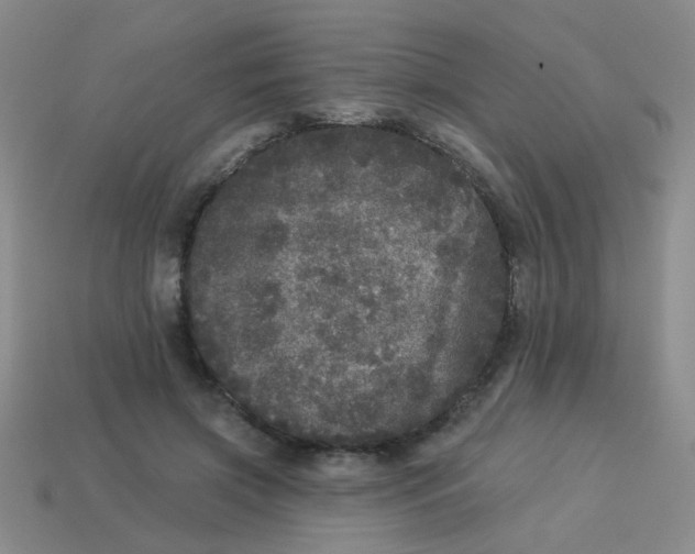 X0000113880549200910151315