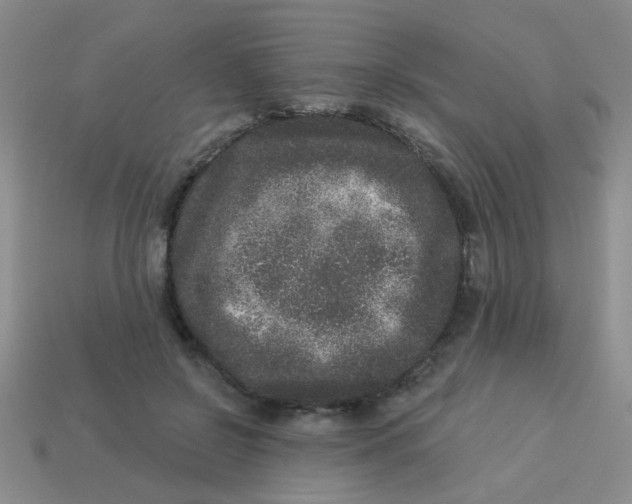 X0000113880550200910151315