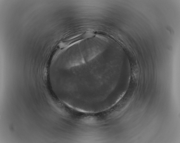 X0000113880551200910151315