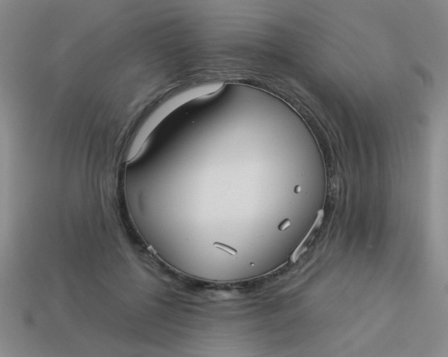 X0000113880552200910151315