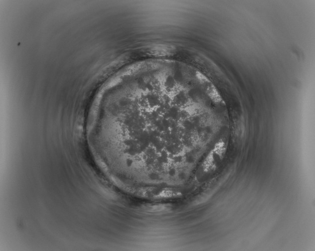 X0000113880553200910151315