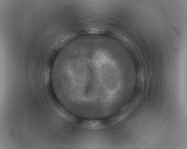 X0000113880554200910151315