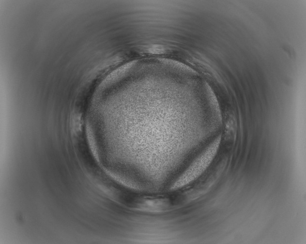 X0000113880555200910151315