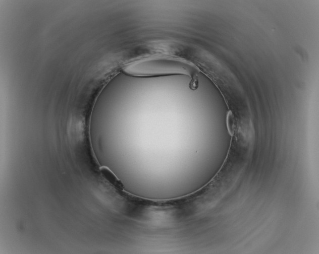 X0000113880556200910151315