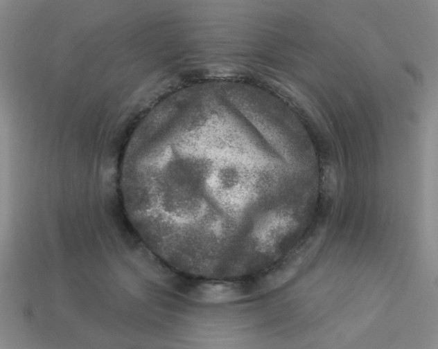 X0000113880557200910151315