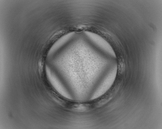 X0000113880558200910151315