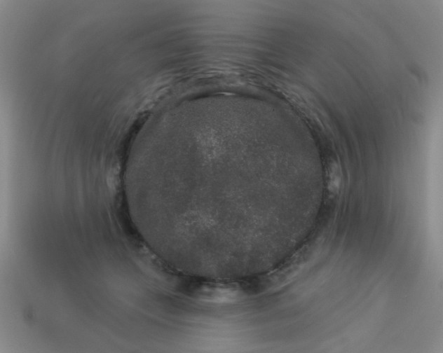 X0000113880559200910151315