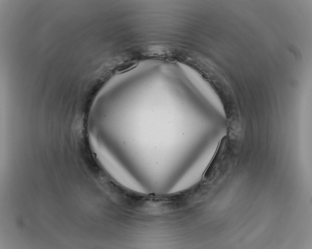 X0000113880560200910151315