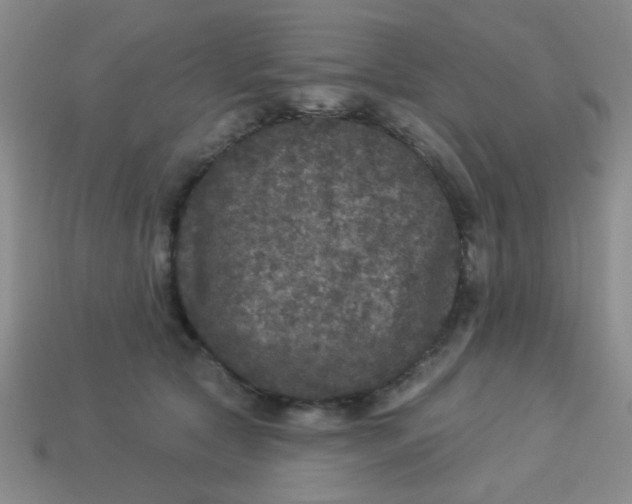 X0000113880561200910151315