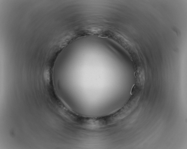 X0000113880562200910151315