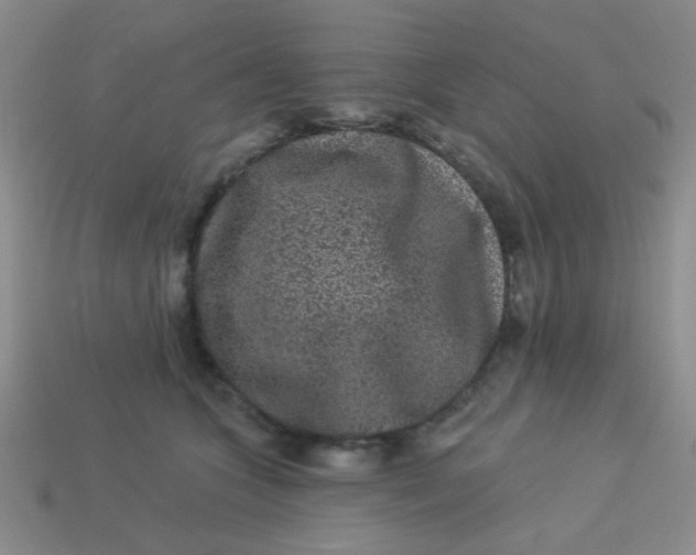 X0000113880563200910151315