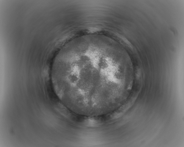 X0000113880565200910151315