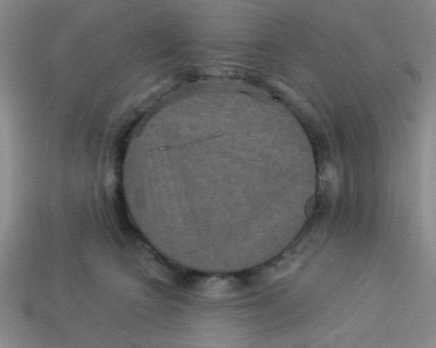 X0000113880566200910151315