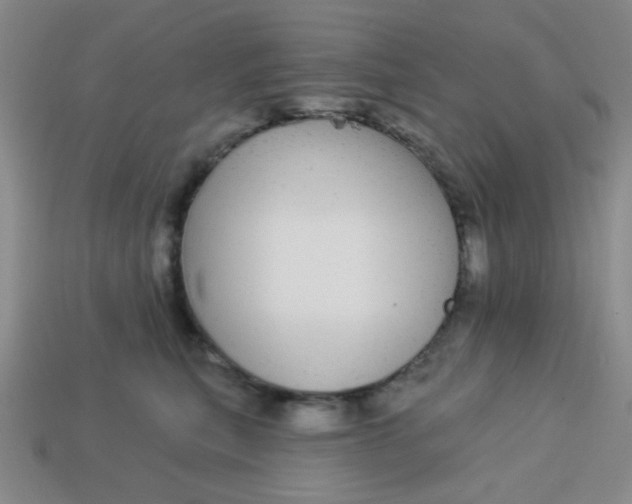 X0000113880567200910151315