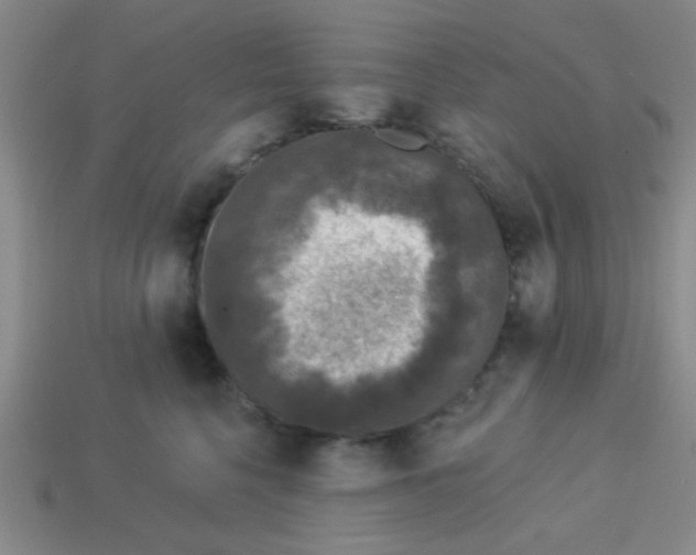 X0000113880568200910151315