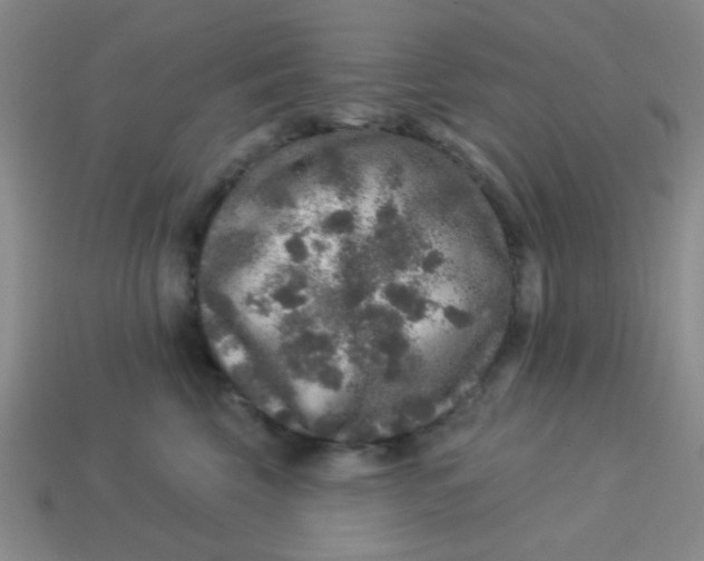 X0000113880569200910151315