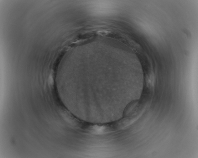 X0000113880570200910151316