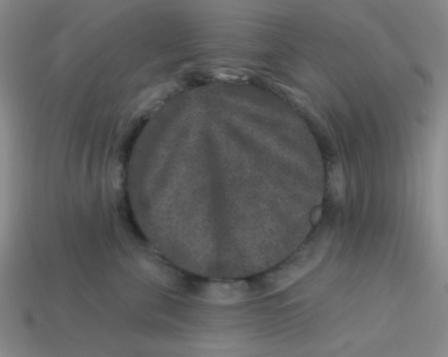 X0000113880571200910151316